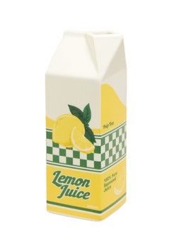 Matalan Lemon Carton Vase £10