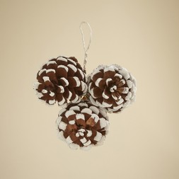 3 Pinecones with White Tips £4 (30975201)