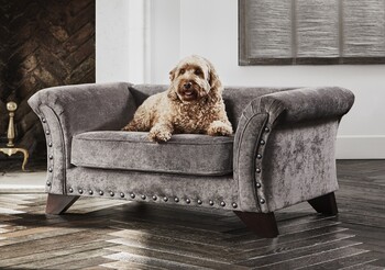 https://dc-42351dc5a6b3.prshots.es/contents/archives/194/254/images/thumb350x287_auto/furniture_village_furniture-village-holly-fabric-pet-bed-with-st_74115_thumb.jpg