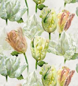 SPRING TULIP BUTTERMILK