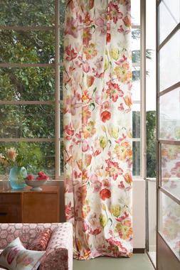 GRANDIFLORA ROSE COLLECTION