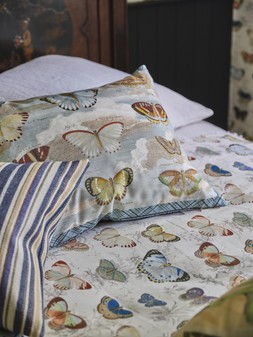 BUTTERFLY STUDIES PARCHMENT CUSHION