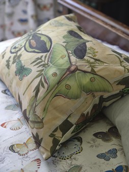 JOHN DERIAN ACCESSORIES