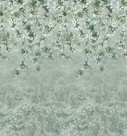 ASSAM BLOSSOM_SAGE_PDG1133_02