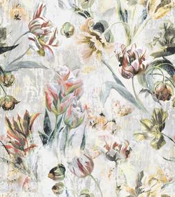 TULIPA STELLATA - BIRCH