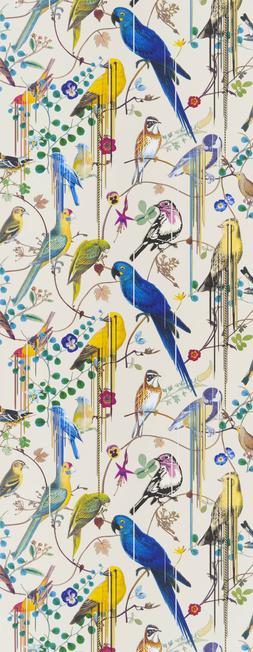 BIRDS SINFONIA - JONC