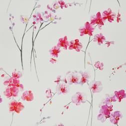 ORCHIDEA - SCHIAPARELLI