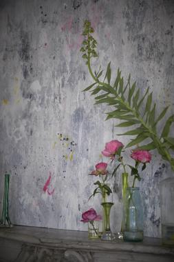 JARDIN DES PLANTES COLLECTION
