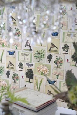 PICTURE BOOK PRINTS