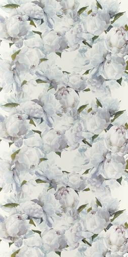 PEONIA - IVORY