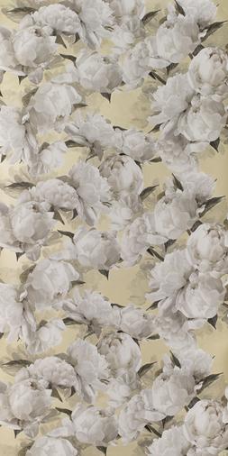 PEONIA - GOLD