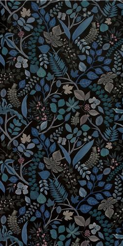 CUEILLETTE FORET
