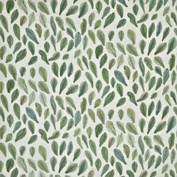LEAF SPECIMENS - THYME