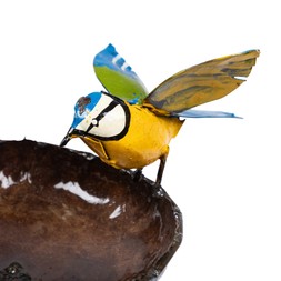 Blue Tit bird feeder on a stake (detail)