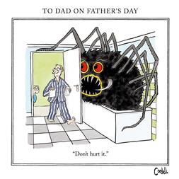 Cordell Bathroom Spider, Father’s Day card