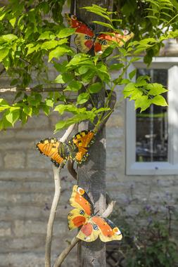 National Trust garden accessories lifestyle, portrait