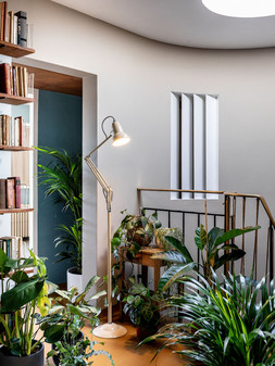 Anglepoise - Original 1227 Floor Lamp - National Trust Edition Buttermilk Yellow - £289 at anglepoise.com
