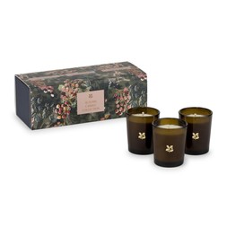 Autumn candle collection £24