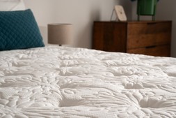 Evernight Natural Indulgence 4'6' Mattress Double RRP €1,899 Now €999