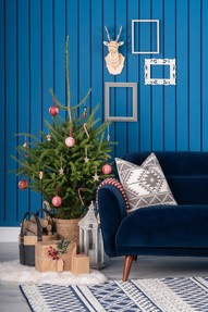 https://dc-42351dc5a6b3.prshots.es/contents/archives/2441/1193/images/thumb350x287_auto/michael_murphy_home_furnishing_dsc07949_thumb.jpg