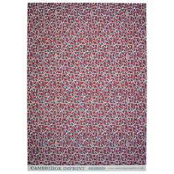 Patterned Paper Kaleidoscope Red and Blue £3