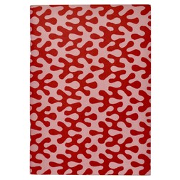Pocket Notebook Kelp Raspberry Ripple