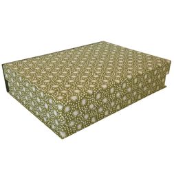 A5 Box File Animalcules Bawden Green