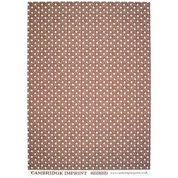 Patterned Paper Animalcules Cocoa Brown