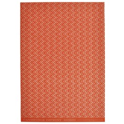 Patterned Paper Kelp Tangerine