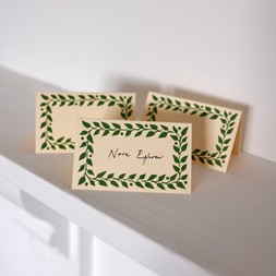 Packet of Twelve Pea Green Place Cards