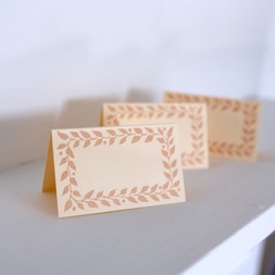 Pack of Twelve Plaster Pink Place Cards