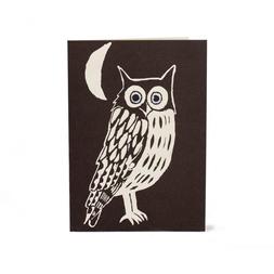 Nighttime Owl Card