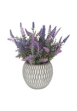 TK Maxx-fake plant &pound;12.99 (RRP &pound;XX)