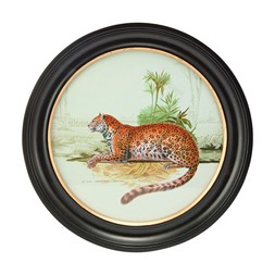 Jungle LeopardPrintRoundBlackFrame RRP31.99 £16.99