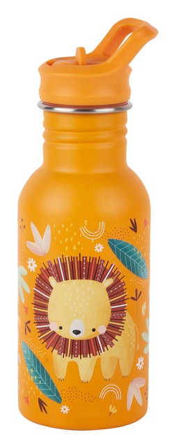 TK Maxx lion water bottle £7.99 RRP £14.90