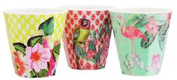 Cuba Cups