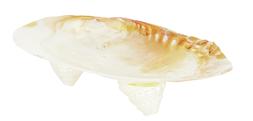 Shell Soap Dish