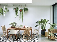 Homesense Image Id 1007854