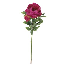 Homesense Image Id 824449