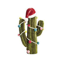 Christmas Cactus