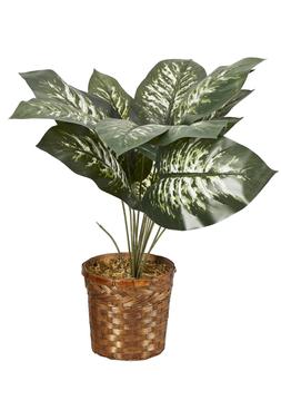 Homesense Image Id 972621