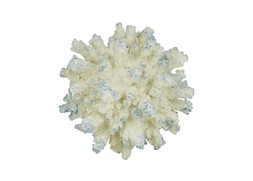 Homesense - coral scuplture &pound;19.99 (RRP &pound;XX)