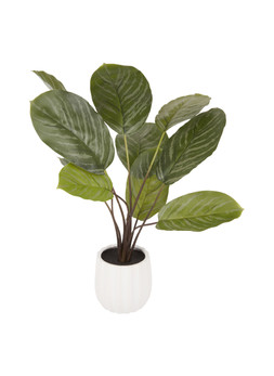 Homesense small fake plant £12.99 ( RRP £)
