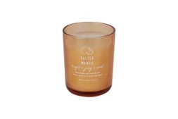 HOMESENSE DW HOME SALTED MANGO &pound;7.99