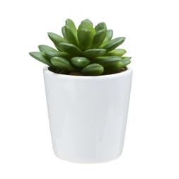 White Pot with Faux Succlent