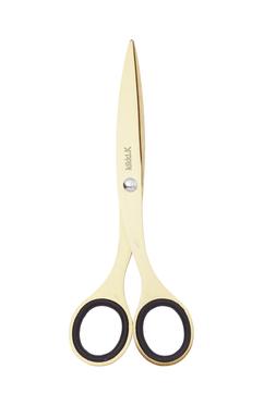 Stainless Steel Scissors