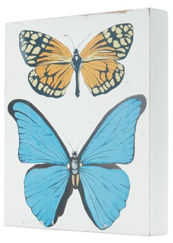 Butterfly Picture