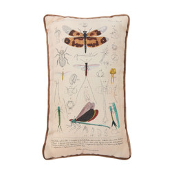 Cosy Collected Insect Cushion £12.99, €19.99