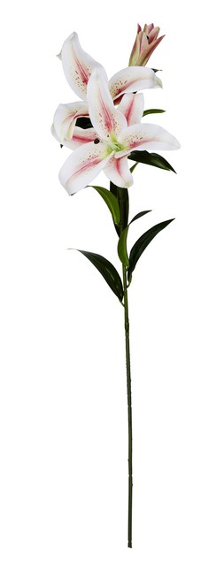 Fake Lilly &pound;9.99
