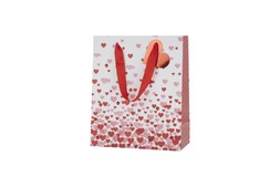 GIFT BAG 1